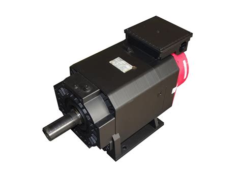 See details. . Fanuc spindle motor specification